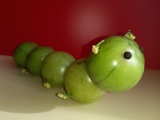 IMG-20231103-WA0013