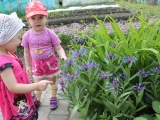 IMG_7444.JPG