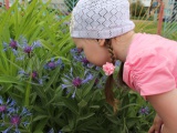 IMG_7475.JPG