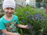 IMG_7486.JPG