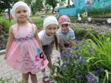 IMG_7501.JPG