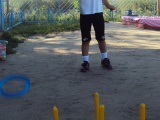 DSC02931